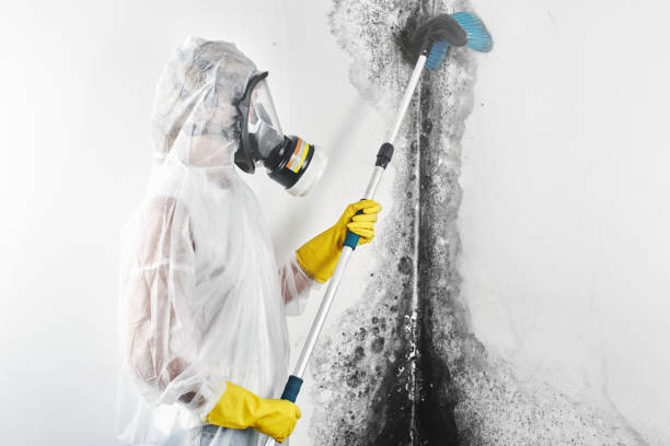 Best Forensic Mold Investigation  in Craig Beach, OH