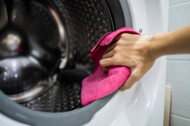 Best Mold Odor Removal Services  in Craig Beach, OH