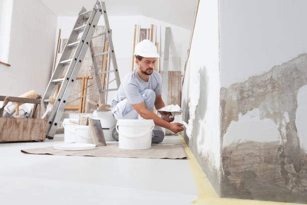 Best Mold Damage Restoration  in Craig Beach, OH