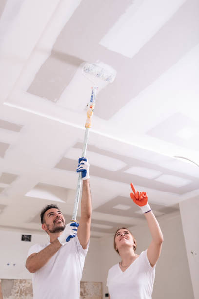 Best Dehumidification Services  in Craig Beach, OH