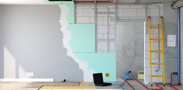 Best Mold Remediation for Vacation Homes  in Craig Beach, OH