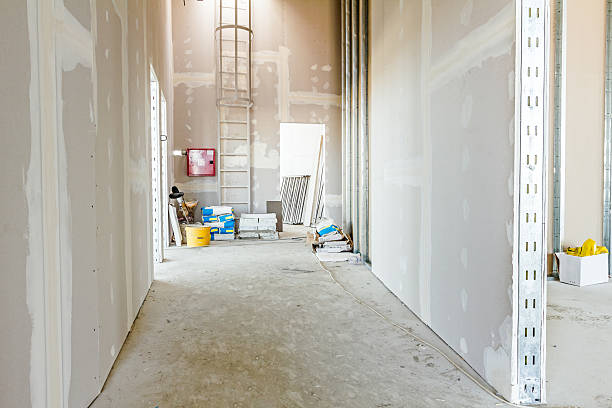  Craig Beach, OH Mold Removal Pros