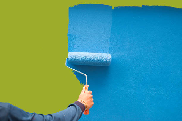 Best Basement Mold Removal  in Craig Beach, OH